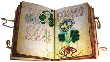 Woynich-Manuskript